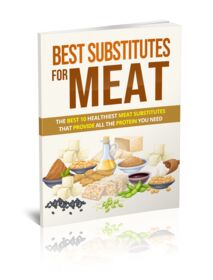 Best Substitutes For Meat small