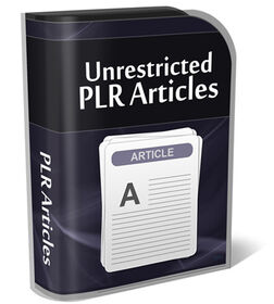 Domain Name Investing PLR Article Pack small